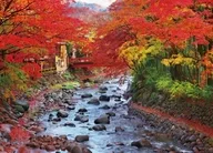 彩り深まる修善寺の桂川(静岡) 「日本の風景」 ジグソーパズル 500ピース [05-1098]