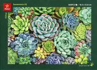 Succulent Wall -多肉植物の壁- プラ製ジグソーパズル 368ピース [P1432]