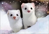 ひょっこりエゾオコジョ ジグソーパズル 300ピース [300-188]