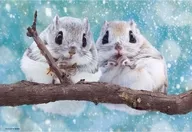 もちふわエゾモモンガ ジグソーパズル 300ピース [300-189]