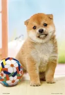 まんまる柴犬 ジグソーパズル 300ピース [300-191]