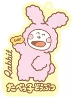4.Rabbit 2