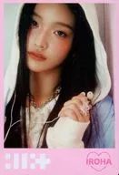 イロハ(縁有り) ノーマルシール 「ILLIT ツインウエハース」