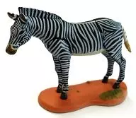 Grevy's Zebra Animals World Heritage Red Data Animals Part 1 : Eurya Shea, North America and Africa