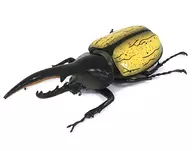 01. Hércules Warbler, "The World Entomological Encyclopedia, Second Edition, World's Beetle and Kuwagata".