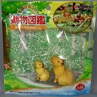 Capybara Whole Earth! enciclopedia ilustrada de animales, Forests and Grasslands Friends