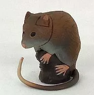 143 Ryukyu long-tailed giant rat "Choco Egg : The Fifth Collection of Japanese Animals"