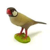 93 P03C文鳥肉桂