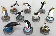 全10種セット 「ペンギンズランチビスケット2」