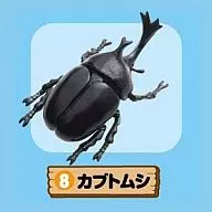 Rhinoceros beetle "Puchidobutsu series Dokidoki zookeeper"