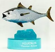 Bluefin Tuna "Kuroshio コメッコ AQUATALES ~ Kuroshio fish ~ VOL. 2"