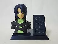 Aslan Zara (Full Color Ver.) Chest Selection Gundam SEED DESTINY Chocolate Snack