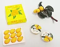 7.長崎 茂木びわ 「ぷちサンプルシリーズ うまいもん市場」 