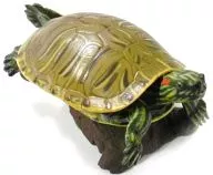 230a. Mississippi common slider (normal color solid) "Chocolate Q : The 10th Animal of Japan"