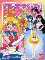 水兵金星美少女战士R Sailor Moon人偶娃娃