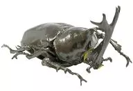 1) Beetle (black) 「 Insect Hunter Beetle & Stag beetle 」