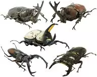共5种SET「猎蝽甲虫和锹形甲虫」