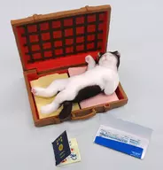 4. Don't go on a trip! "Puchi Animal series Puchi Neko Nikki"