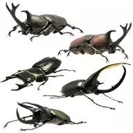 全5種セット 「昆虫ハンター」