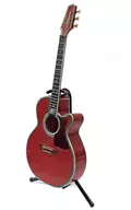 Kotaro Oshio Signature Model 「 Takamine Guitar Collection 」