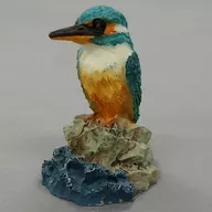 02 common kingfisher 「 First Collection of Small Birds of Japan 」