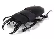 3.サキシマヒラタクワガタ 「昆虫ハンター カブトムシ×クワガタ」