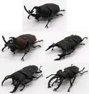 5-Variety Set "Insect Hunter : Beetle x Stag"
