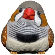 7. zebra finch' Tenori Friends 4'