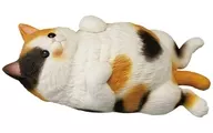 1. Bellybutton Tensanke "Chewy and round ♪ Cat"