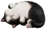 6. ごろにゃん Hachiware Black "Chewy Kororin ♪ Neko"