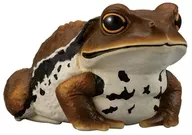 6.ヒキガエル 「てのりフレンズ12 -爬虫類・両生類-」