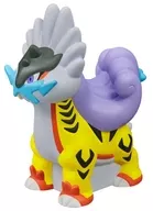 8.タケルライコ 「ポケモンキッズ メガミュウツーX＆メガミュウツーY編」