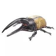 1. Hercules Beetle "Biological Expedition ~ Insect Edition 2024 ~"