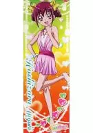 "Smile PreCure! Illustration Gum (Late)", póster original de ilustraciones de Miyuki Hoshiku