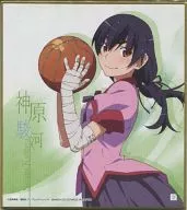 5. Kamihara Suruga 「 Series Shikishi ART 」