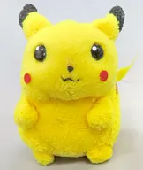 1. Pikachu "Pocket Monsters Pokémon Friends"