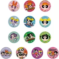 全13種セット 「パワーパフガールズ 刺繍缶バッジビスケット」