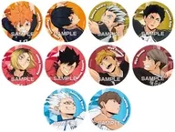 全10種セット 「アニメ『ハイキュー!!』 カンバッジコレクションガム」