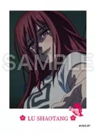 16. 「SAKAMOTO DAYS ツーピースブロマイド」