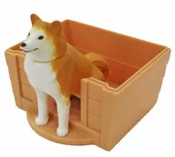 Shiba Inu "Ania" Happy Set