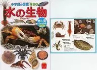 图鉴水的生物/附螃蟹、贝类等的鱼钩猜谜快乐SET