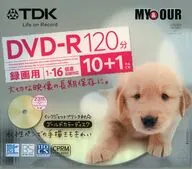 TDK 録画用DVD-R 4.7GB 120分 11枚パック [DR120DPGC11MY]