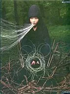Bjork/Volume 1993-2003 [versión importada]
