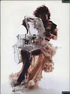 Bjork / Vespertine Live at Royal Opera House[輸入盤]