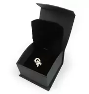 DUSTCELL drip logo pierced earrings "DUSTCELL 5th Anniversary"