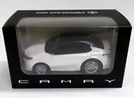 Toyota Camry (Black x White) Pull Back Car Dealer Distribution