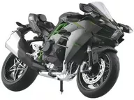 1/12 KAWASAKI Ninja H2 CARBON '19 [111239]