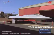 1/72 YF-23 ”Black Widow II” PAV-1 87-0800 1990 [HA2851]