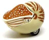 Laranja Nautilus Pullback