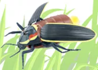 Firefly "Infrared RC Insect Series" [6663]